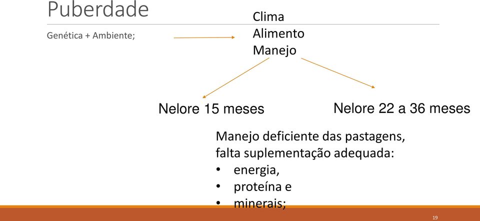 Manejo deficiente das pastagens, falta