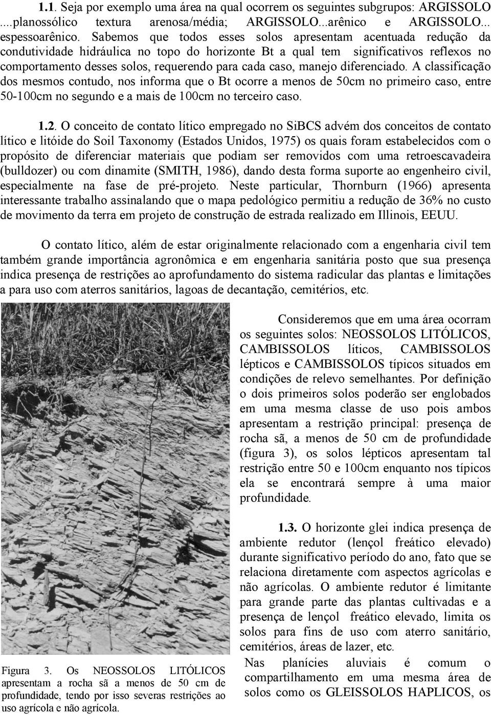 caso, manejo diferenciado. A classificação dos mesmos contudo, nos informa que o Bt ocorre a menos de 50cm no primeiro caso, entre 50-100cm no segundo e a mais de 100cm no terceiro caso. 1.2.