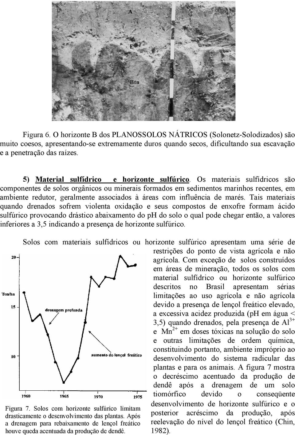 Os materiais sulfídricos são componentes de solos orgânicos ou minerais formados em sedimentos marinhos recentes, em ambiente redutor, geralmente associados à áreas com influência de marés.