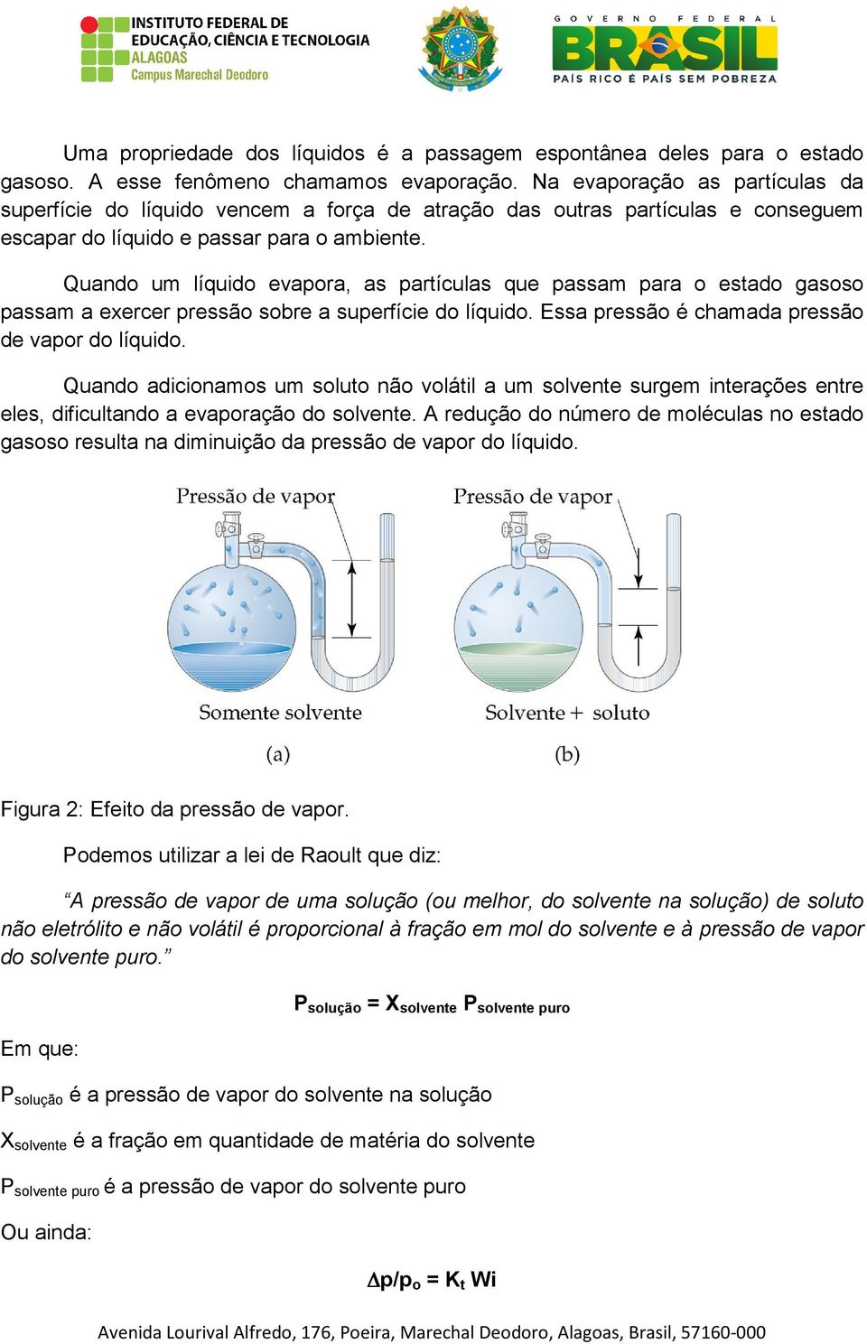 Quando um líquido evapora, as partículas que passam para o estado gasoso passam a exercer pressão sobre a superfície do líquido. Essa pressão é chamada pressão de vapor do líquido.