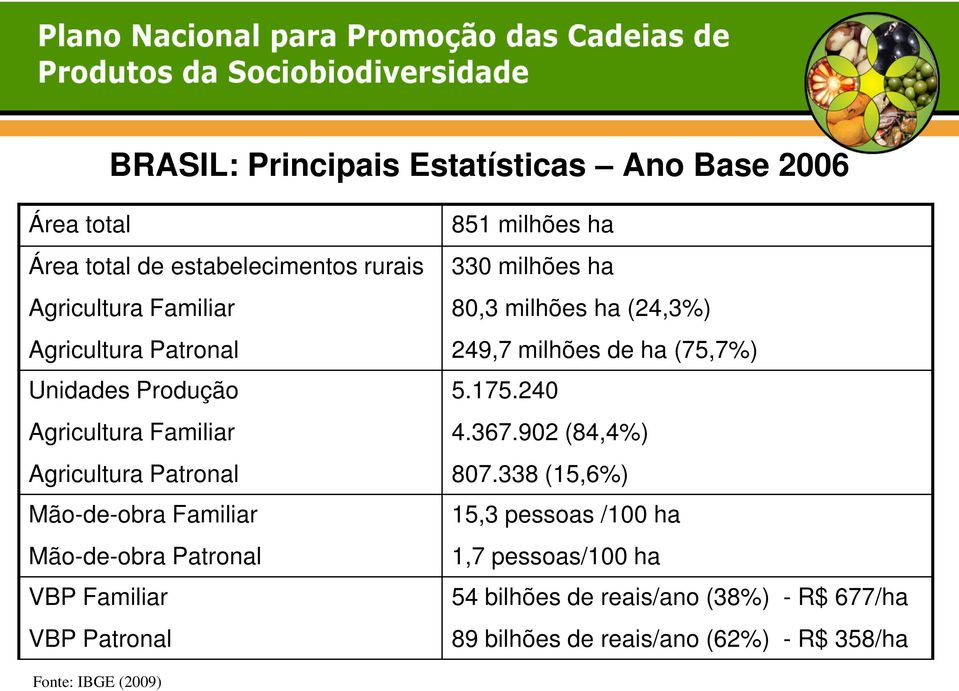 240 Agricultura Familiar 4.367.902 (84,4%) Agricultura Patronal 807.