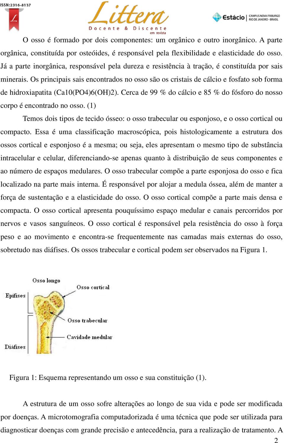 Os principais sais encontrados no osso são os cristais de cálcio e fosfato sob forma de hidroxiapatita (Ca10(PO4)6(OH)2). Cerca de 99 % do cálcio e 85 % do fósforo do nosso corpo é encontrado no osso.