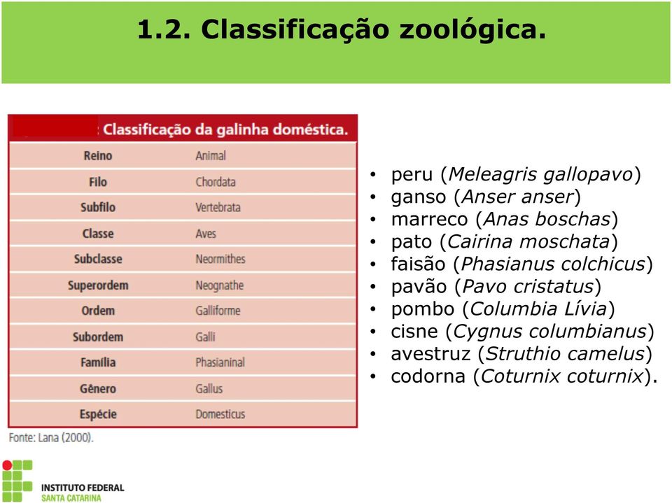 pato (Cairina moschata) faisão (Phasianus colchicus) pavão (Pavo