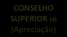 FLUXOGRAMA OPERACIONAL RAINT (Relatório Anual de Atividades da Auditoria Interna) Descrição dos Trabalhos Realizados com Previsão (1) Descrição dos Trabalhos Realizados sem Previsão (1) Nível de