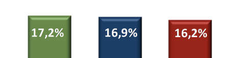 MARKET SHARE No ano de 2013 o market share atingiu 16,2% contra 16,9% de 2012.