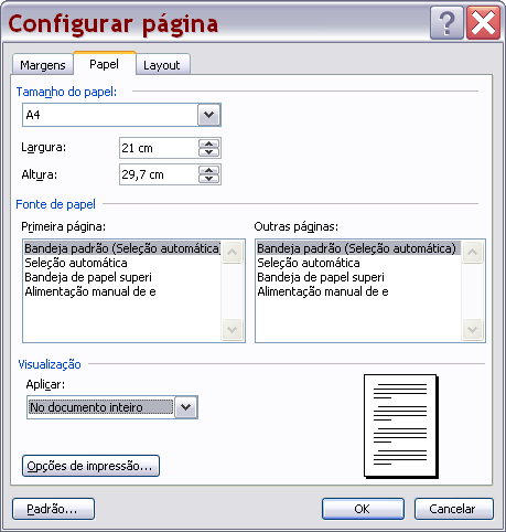 4 CONFIGURAR PÁGINA Antes de iniciarmos qualquer atividade de digitação, devemos primeiramente configurar a página, que esta dividida em duas opções, papel e margem.