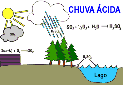 Também sofrem c/ efeitos da chuva ácida Problemas