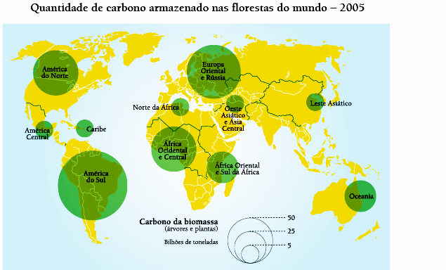 09- As florestas contribuem com a fixação de parte do carbono atmosférico do planeta, amenizando o processo do aquecimento global.