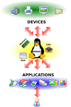 Inicialmente... Resumindo... O kernel representa a camada de software mais próxima ao hardware. Segundo alguns autores, o kernel é o seu coração, sua mente e seu sistema nervoso.