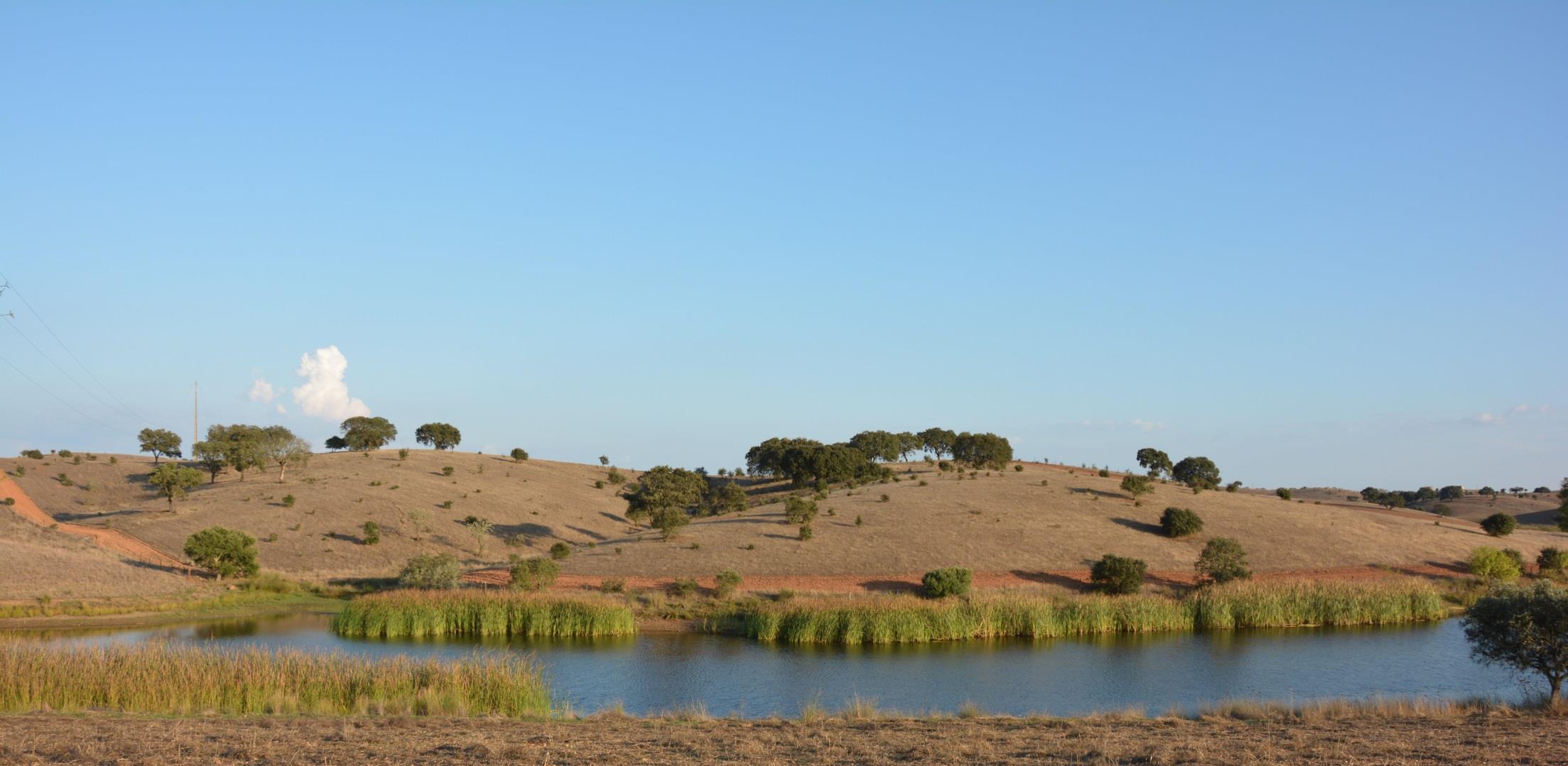 Recurso água Barragem de Vale Formoso Plano de água fundamental para a