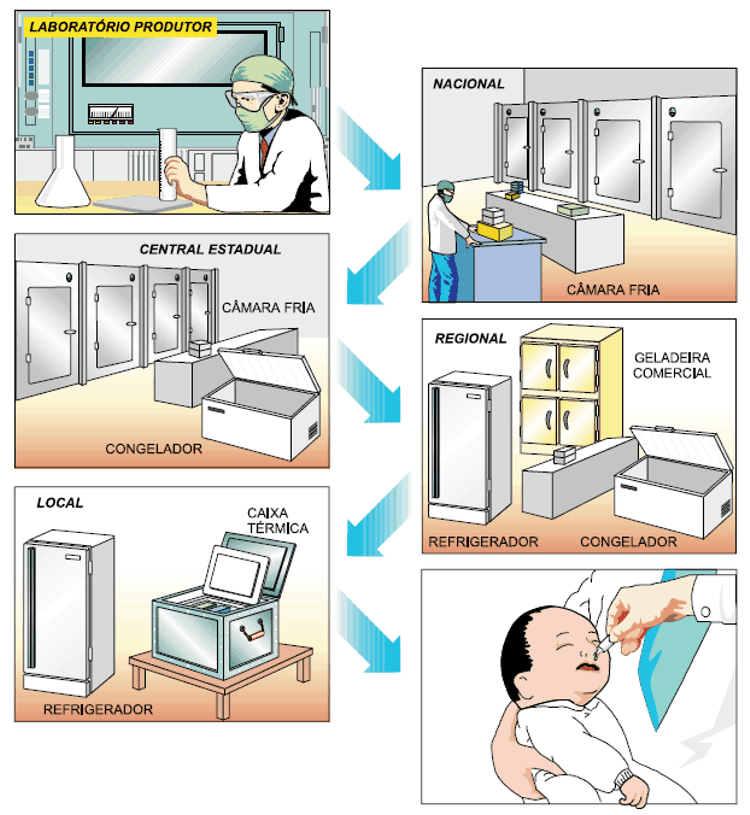 Rede de Frio É o processo de armazenamento, conservação, manipulação, distribuição e transporte dos imunobiológicos.