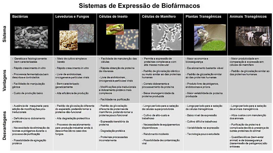 las bacterianas, células de mamíferos, células de insetos, entre outros (Figura 4).