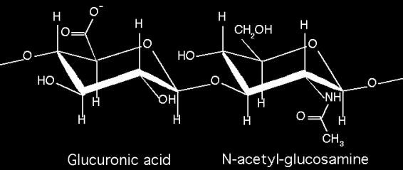 extracelular IALURONIDASE bactérias patogênicas e cosméticos Polissacarídeos eparina Anticoagulante natural sintetizada por mastócitos e