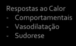 Tecidos Profundos Tórax e Abdome Cérebro e Coluna Vertebral Hipotálamo Anterior Hipotálamo Posterior Trato Espinotalâmico Lateral Receptores para Frio Receptores para Calor Respostas ao Frio: -