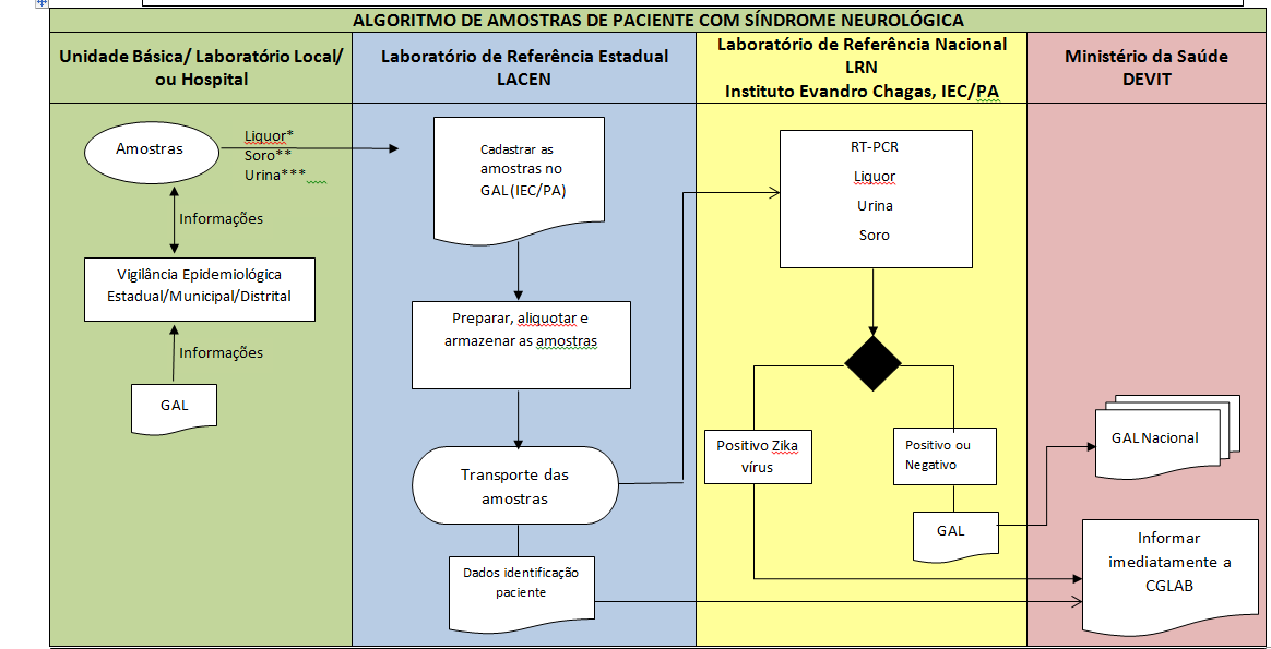 Anexo 2 Algoritmo de coleta de amostras de pacientes com manifestação neurológica *Coletar, no mínimo, 1ml de liquor. Armazenar em criotubos e manter/enviar em gelo seco ou nitrogênio líquido.