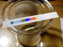 7/1/213 FPLC Fast protein (performance) liquid chromatography Cromatografia líquida de proteína rápida Mais comum é troca iônica Cromatografia gasosa ou líquida-gasosa A fase móvel é um gás e é feito