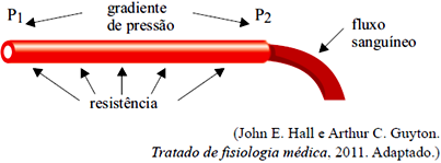 9) (TIPO ENEM) O fluxo (Φ) representa o volume de sangue que atravessa uma sessão transversal de um vaso sanguíneo em um determinado intervalo de tempo.
