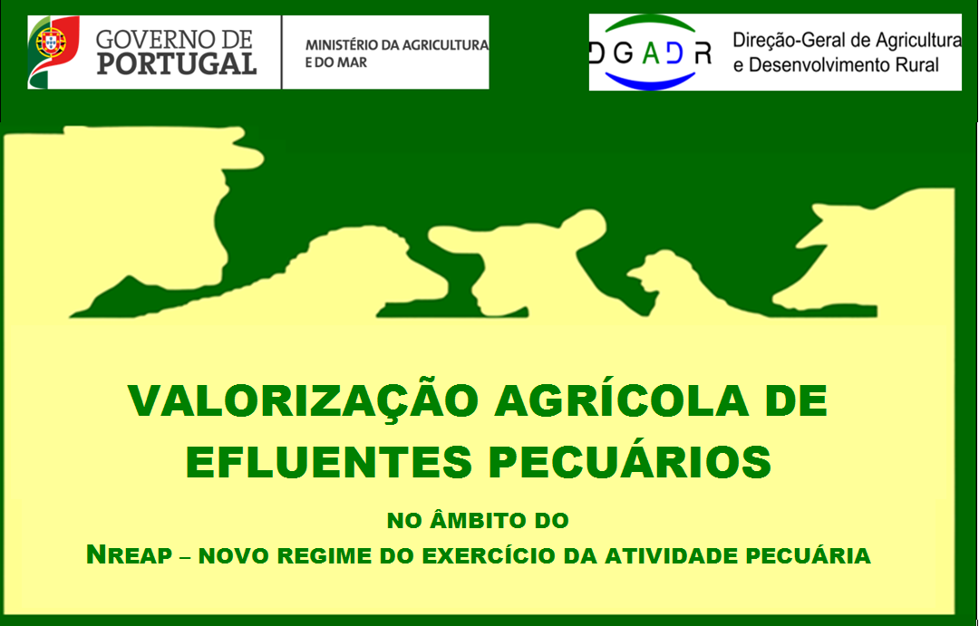 DGADR- Divisão de Gestão e Recursos Naturais INIAV_