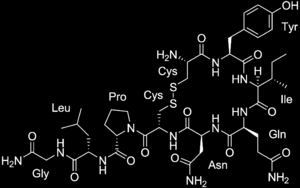 14 Podem-se exemplificar as macromoléculas como moléculas com uma longa cadeia de carbonos, ramificada ou não ramificada e com alta massa molecular.