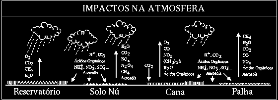 77 biológico de pragas, com auxílio de fertilizantes e herbicidas, contaminando o solo de cultivo. Na colheita manual ou mecanizada e ocorre as queimadas e liberação de gases poluentes para atmosfera.