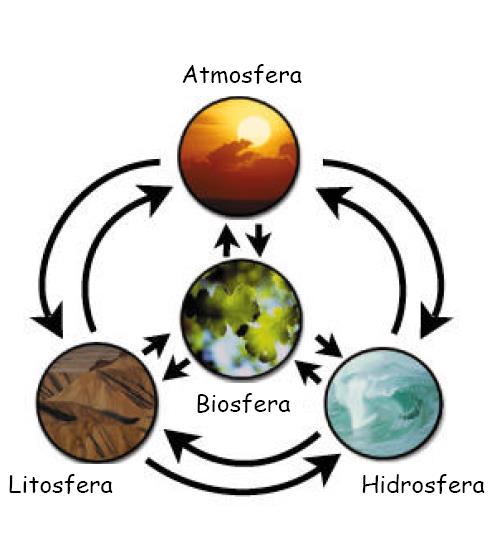 Ecologia de Ecossistemas Estudo das