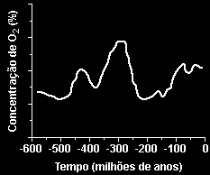 a) 10 milhões de anos. b) 40 milhões de anos. c) 55 milhões de anos. d) 65 milhões de anos. e) 85 milhões de anos. 27ª Questão:.