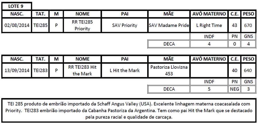 Touro excepcional, está entre os melhores touros