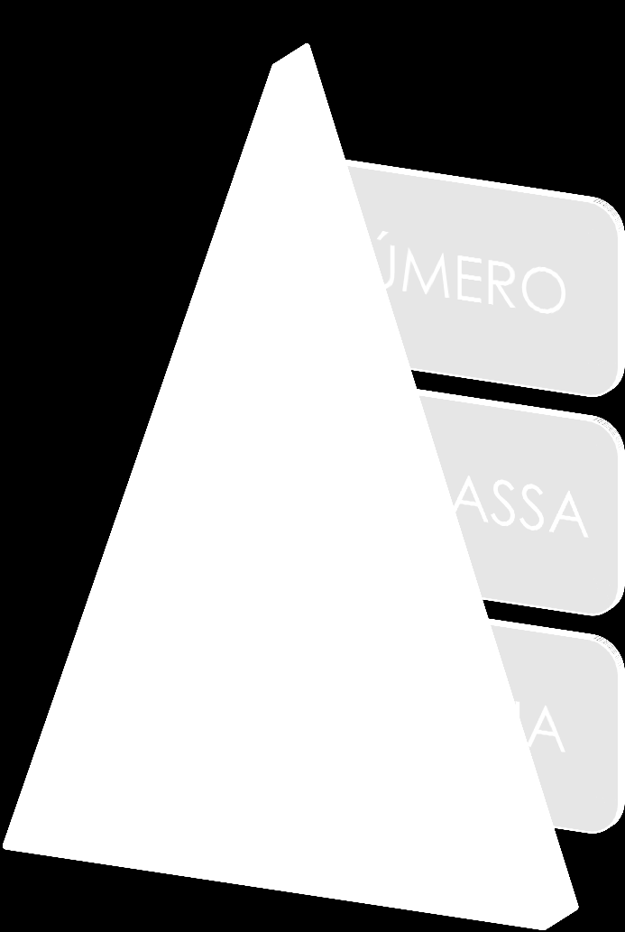 Tipos de Pirâmides Ecológicas Representa o numero de indivíduos existentes em cada nível trófico por unidade de área ou volume em determinado momento.