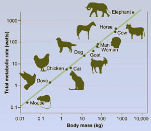 Bioclimatologia e a Eng.