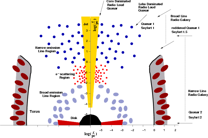 CAPÍTULO 1. INTRODUÇÃO 6 Figura 1.3: Figura de Zier & Biermann (2002) mostrando as diferentes estruturas que compõem um AGN e suas dimensões típicas em escala logarítmica.