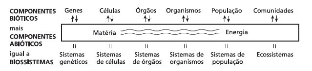 Espectro dos níveis de organização ecológica enfatizando a