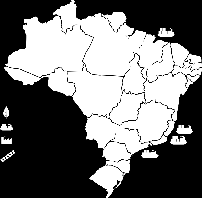 Visão Geral A Suzano é uma empresa de base florestal, de capital aberto, controlada pela Suzano Holding. Atua nos segmentos de celulose de mercado e de papel.