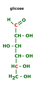 A glicose e o metabolismo Como já vimos, nos seres vivos o combustível mais utilizado é a glicose, substância altamente energética cuja quebra no interior das células libera a energia armazenada nas