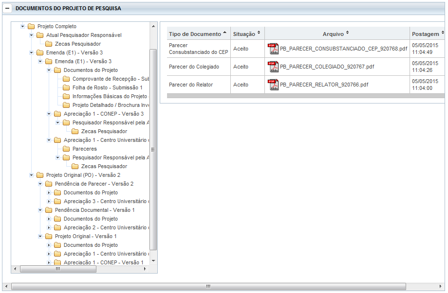 Exemplo 2: Expandindo a pasta Projeto Completo é possível visualizar toda a submissão inicial (pasta Projeto Original com as pastas Pendência Documental (é possível concluir que ocorreu apenas 1