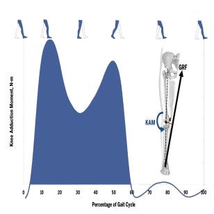 ALINHAMENTO NEUTRO Journal of Orthopaedic & Sports Physical Therapy, 2013 CARGA NA ARTICULAÇÃO DO JOELHO E OA PAPEL DO MOMENTO ADUTOR externo do JOELHO (MAJ) MAJ Força de Reação do Solo (FRS) x