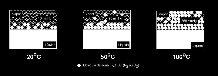 II. INTRODUÇÃO O fenômeno de equlíbro de fases, tão mportante em nosso cotdano como na engenhara químca está ntmamente relaconado com o conceto da pressão de vapor.