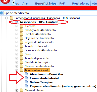 Coparticipação Tela 2: Indica quais os tipos