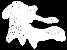 Anterior Face articular a)