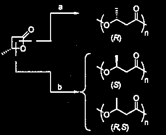 POLI(3-HIDROXIBUTIRATO) (PHB) A polimerização por abertura de anel da rac-β-butirolactona pode ocorrer através: Quebra da ligação entre o carbono da carbonila e o oxigênio (a), caracterizando a