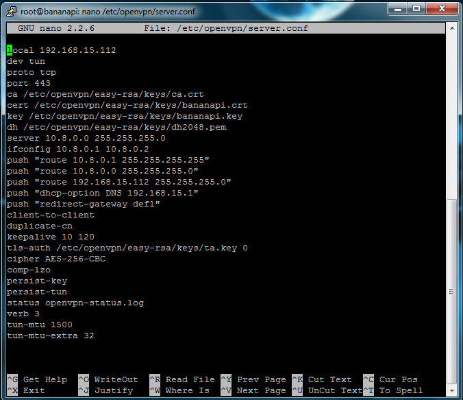 push "dhcp-option DNS 192.168.x.x #(fill in with your router IP) push "redirect-gateway def1" client-to-client duplicate-cn keepalive 10 120 tls-auth /etc/openvpn/easy-rsa/keys/ta.