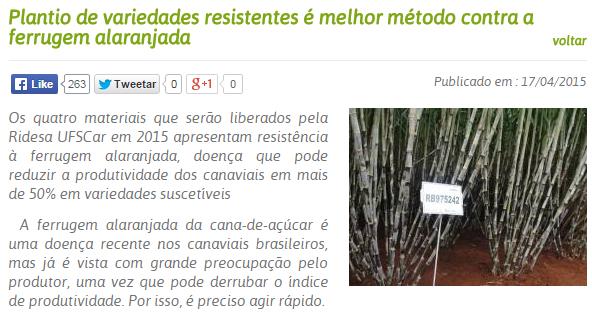 http://www.canaonline.com.br/conteudo/plantio-de-variedades-resistentes-emelhor-metodo-contra-a-ferrugem-alaranjada.html#.