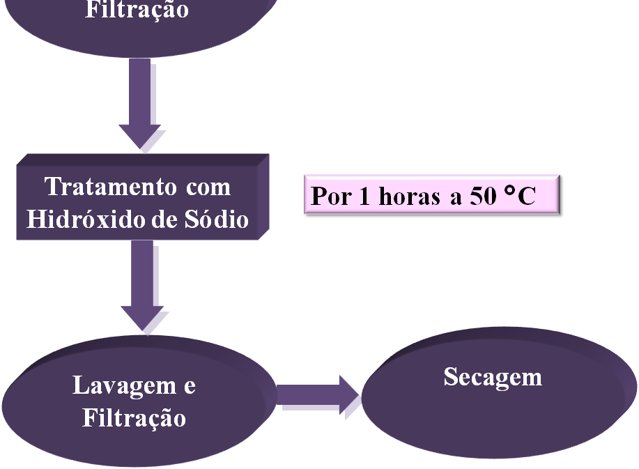 seguida o sólido filtrado recebeu um tratamento com uma solução básica de hidróxido de sódio (NaOH) ph 14 por 1 hora a 50 C.