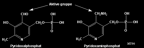 TRANSAMINAÇÃO transaminases ou aminotransferases Mesmo mecanismo de ação e mesmo grupo prostético Ácido carboxílico Aminoácido