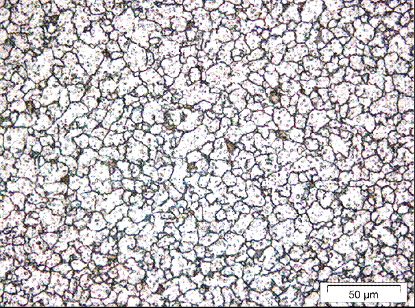 FIGURA 2: Micrografia da fita C80U Mod. temperada e revenida, na espessura inicial de recebimento (1,63 mm). Tamanho de grão austenítico médio: 9,0 μm conforme ASTM E112-2010 método de interceptos.