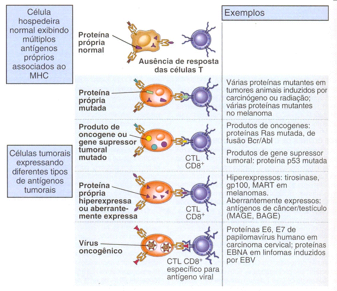 Antígenos