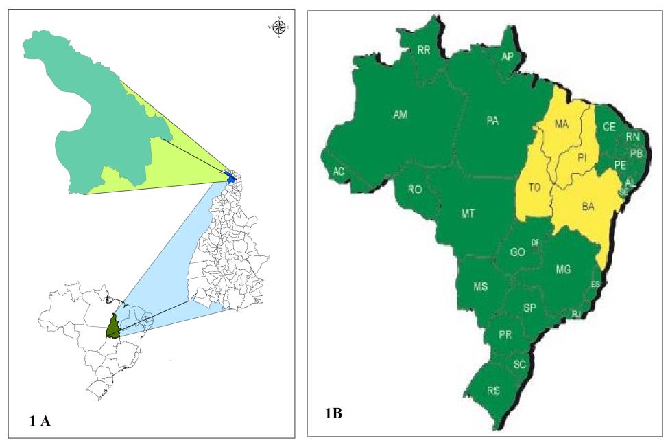 Figura 1A - Mapa de localização do município de Araguatins e Figura 1B - Localização da região MATOPIBA Fonte: 1A Maranha, R. G.
