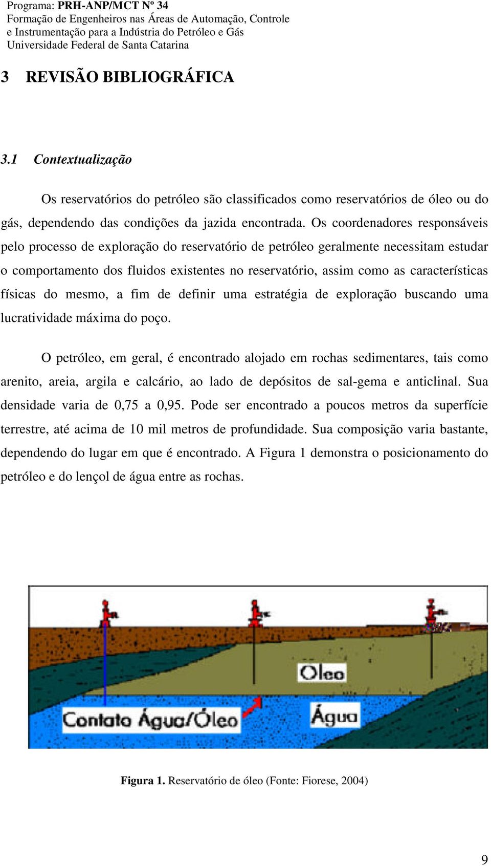 características físicas do mesmo, a fim de definir uma estratégia de exploração buscando uma lucratividade máxima do poço.