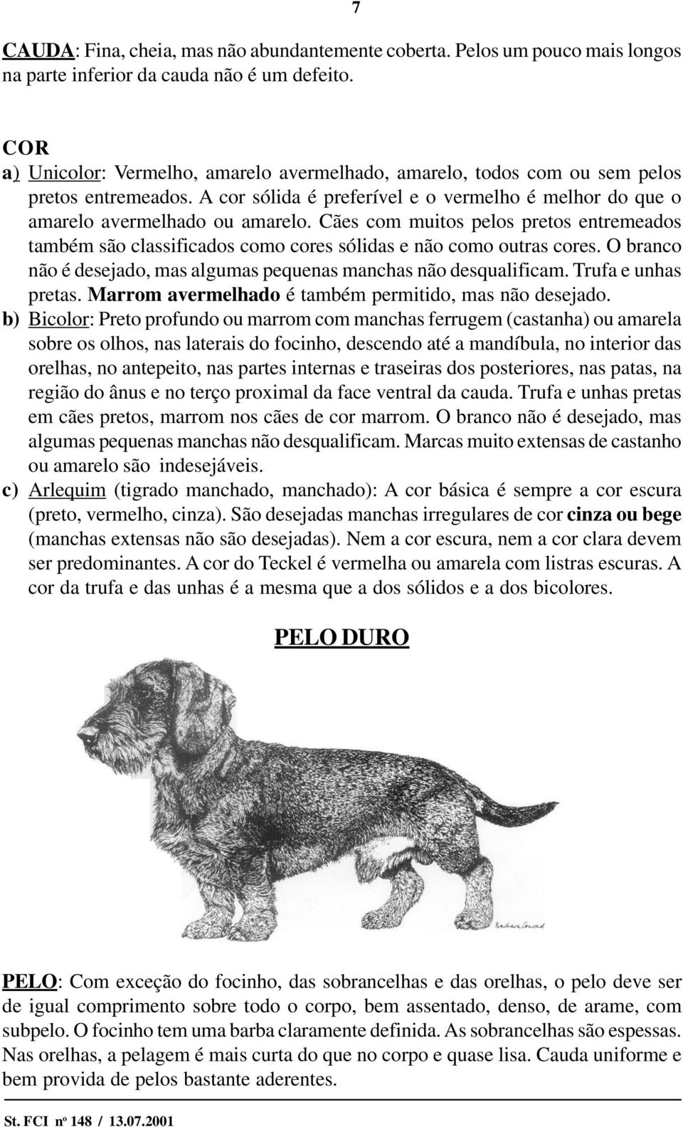 Cães com muitos pelos pretos entremeados também são classificados como cores sólidas e não como outras cores. O branco não é desejado, mas algumas pequenas manchas não desqualificam.