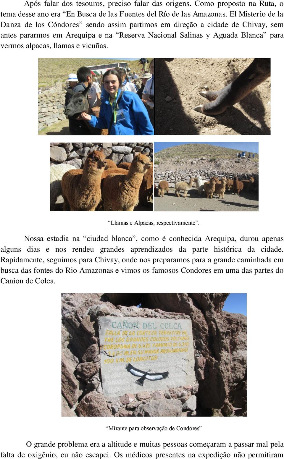 vicuñas. Llamas e Alpacas, respectivamente. Nossa estadia na ciudad blanca, como é conhecida Arequipa, durou apenas alguns dias e nos rendeu grandes aprendizados da parte histórica da cidade.