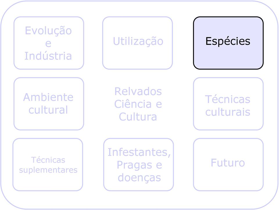 Cultura Técnicas culturais Técnicas